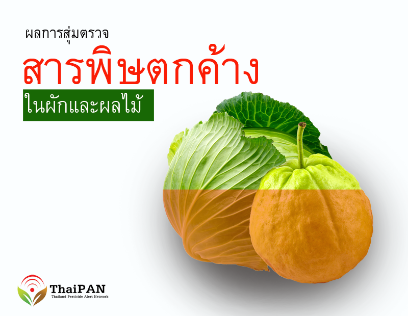 ไทยแพนเผยผลสุ่มตรวจผักผลไม้ยกสอง ยังพบสารพิษตกค้างเกินกว่าครึ่ง ส้ม-คะน้าครองแชมป์สองสมัย