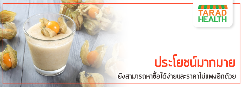 Cape Gooseberry “โทงเทงฝรั่ง”