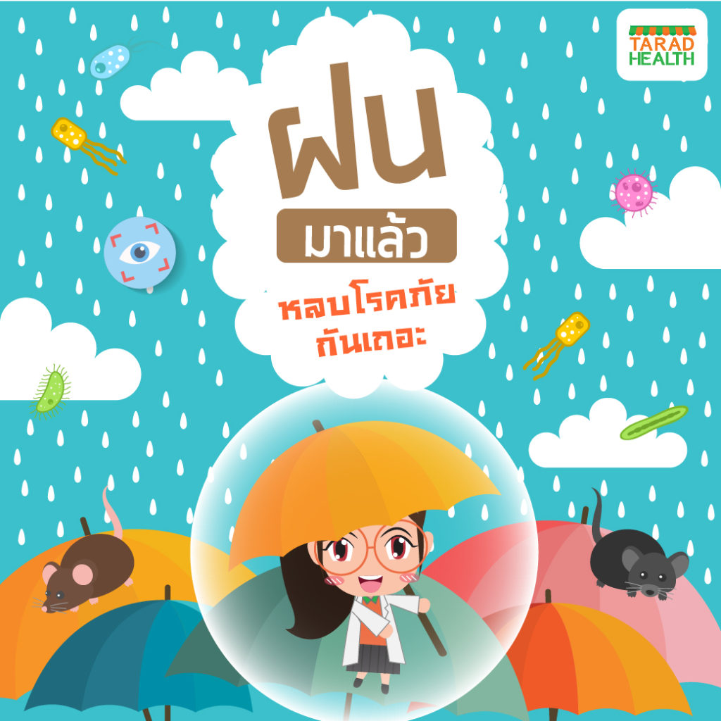 ฝนมาแล้ว_1040x1040