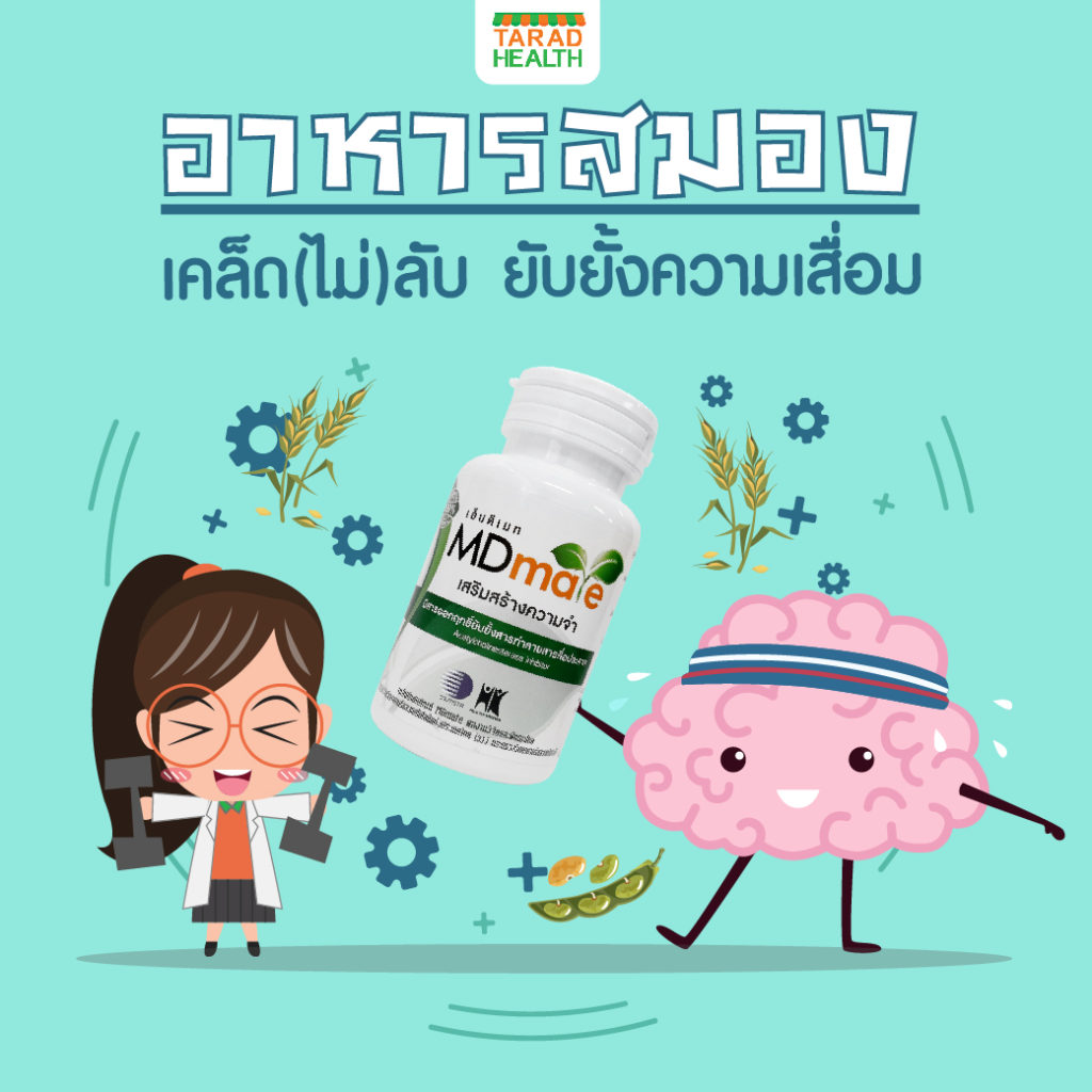 อาหารสมอง_1040