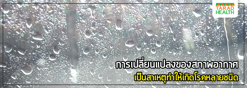 โรคที่มากับน้ำเมื่อฝนตก