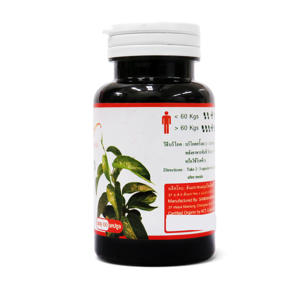 ผักเชียงดา ชนิดแคปซูล บรรจุ 100 แคปซูล (GATHONG Gymnema Capsule) ผักเชียงดา ชนิดแคปซูล บรรจุ 100 แคปซูล (GATHONG Gymnema Capsule)