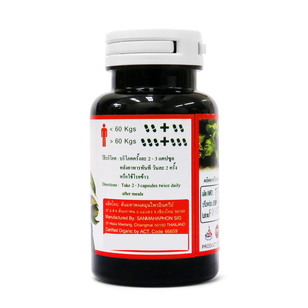 ผักเชียงดา ชนิดแคปซูล บรรจุ 100 แคปซูล (GATHONG Gymnema Capsule) ผักเชียงดา ชนิดแคปซูล บรรจุ 100 แคปซูล (GATHONG Gymnema Capsule)