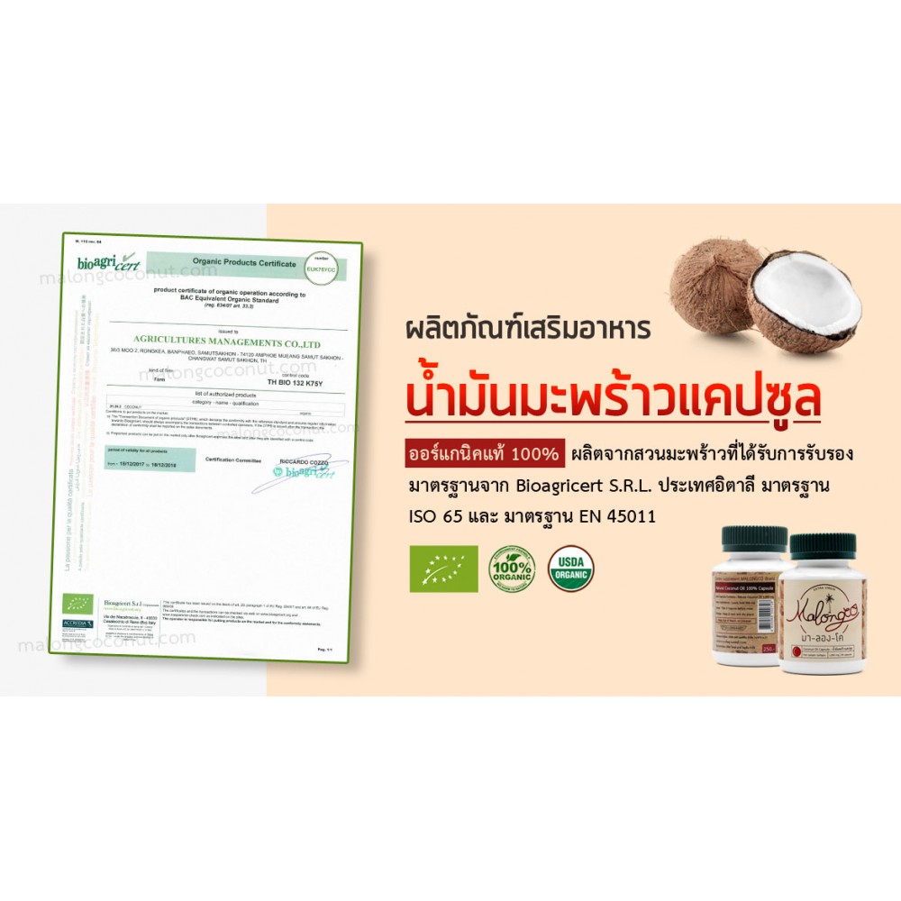 น้ำมันมะพร้าว Malongco (มา-ลอง-โค) สกัดเย็น 100% ขนาด 30 แคปซูล น้ำมันมะพร้าว Malongco (มา-ลอง-โค) สกัดเย็น 100% ขนาด 30 แคปซูล